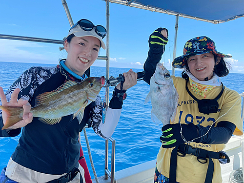 シロダイの釣果