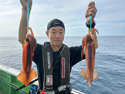 スルメイカの釣果