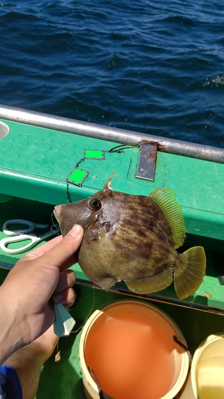 なべ①号さんの釣果 2枚目の画像