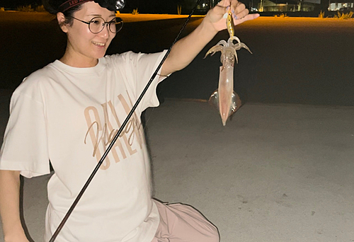 ケンサキイカの釣果