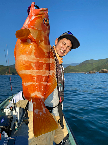 アカハタの釣果