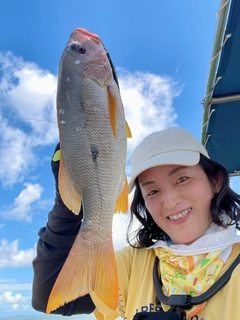 イッテンフエダイの釣果