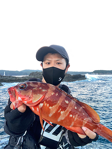 アカハタの釣果