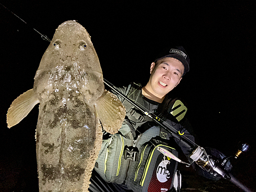 マゴチの釣果