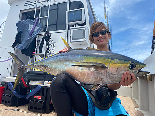 キハダマグロの釣果