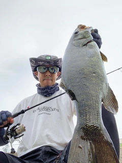 スモールマウスバスの釣果