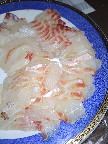 タイの釣果