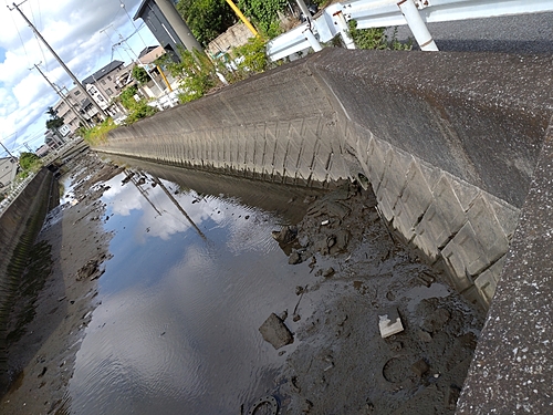 ハゼの釣果