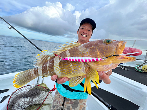 アオハタの釣果