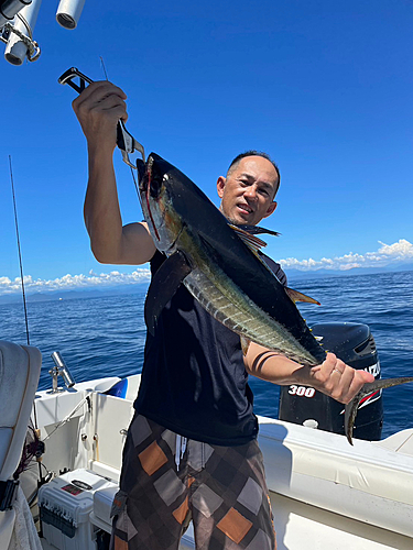 キハダマグロの釣果