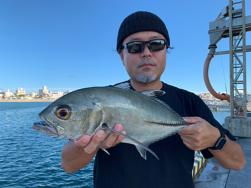 ギンガメアジの釣果