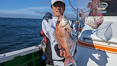 マダイの釣果