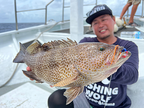 オオモンハタの釣果