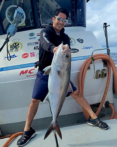 カンパチの釣果