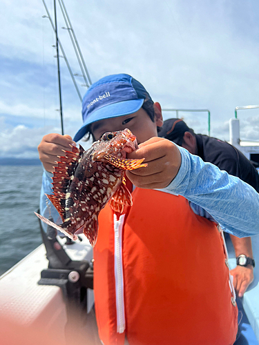 カサゴの釣果