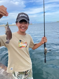 オオモンハタの釣果