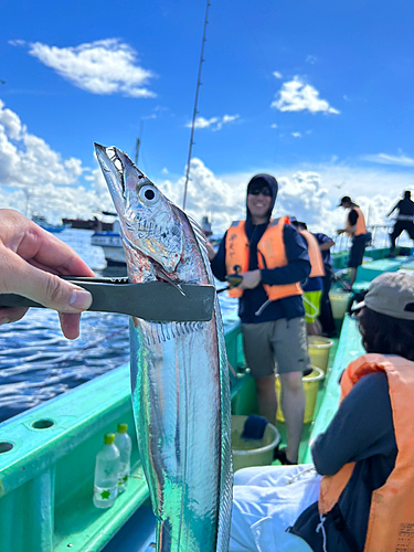 タチウオの釣果