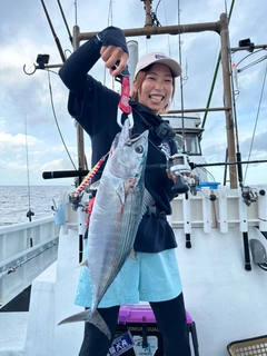 ハガツオの釣果