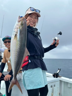 カンパチの釣果