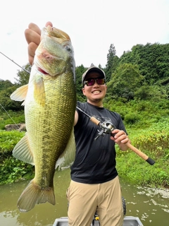 ブラックバスの釣果