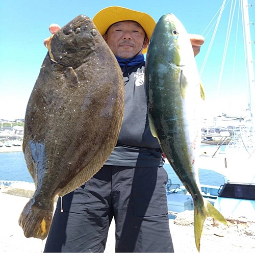 ヒラメの釣果