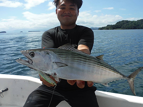 ハガツオの釣果