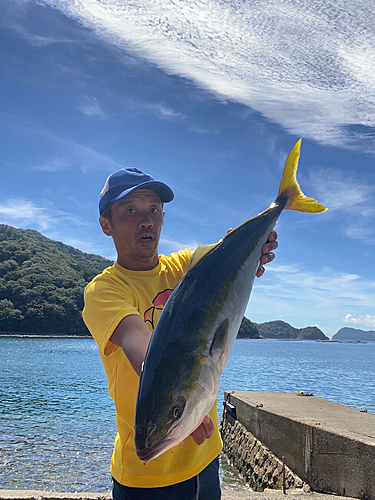 メジロの釣果