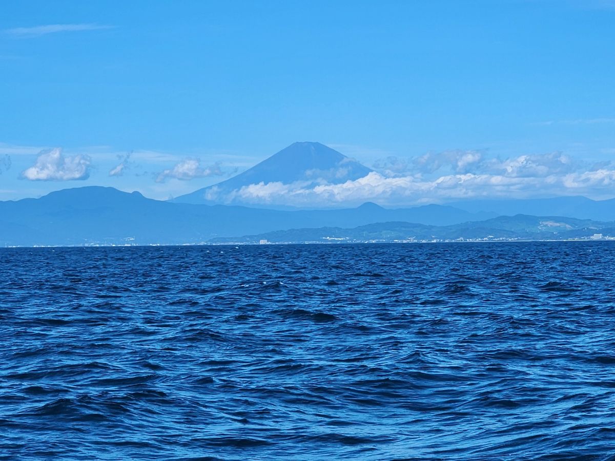 えいち3220さんの釣果 2枚目の画像