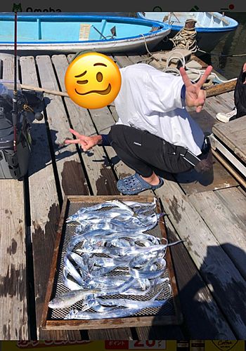 タチウオの釣果