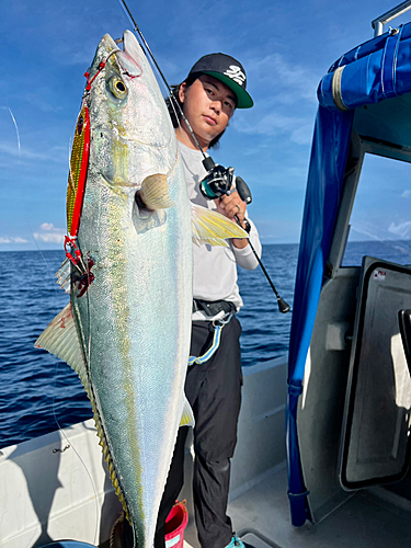 ブリの釣果