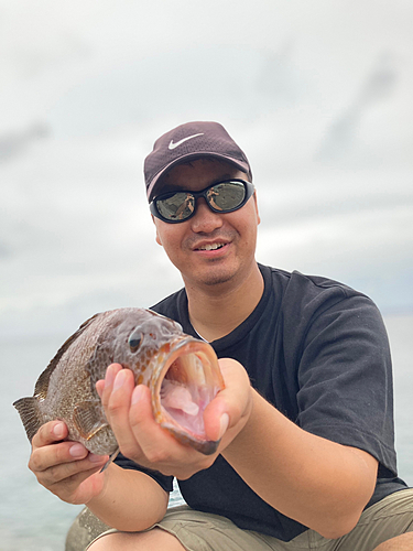 オオモンハタの釣果