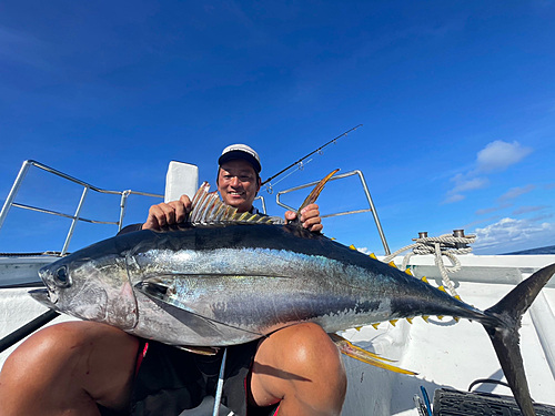 キハダマグロの釣果