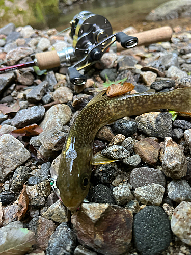 みどり湖