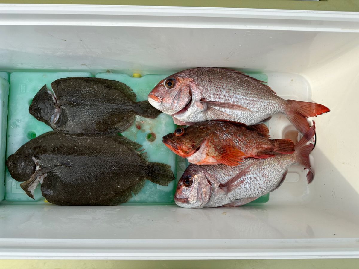 ビンビン太郎さんの釣果 2枚目の画像