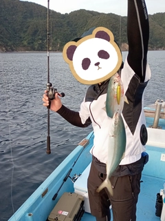 ツバスの釣果