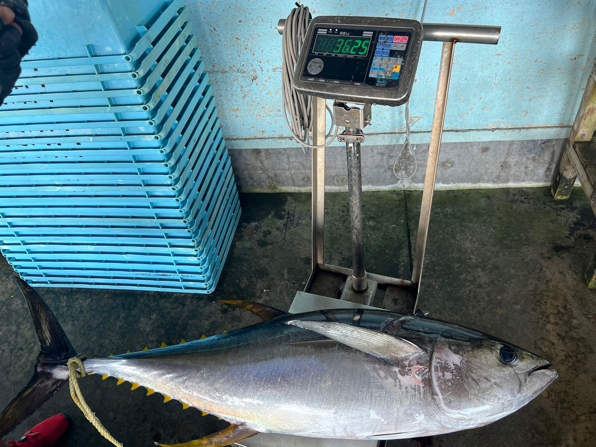 keigo.wさんの釣果 3枚目の画像