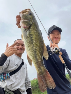 ブラックバスの釣果