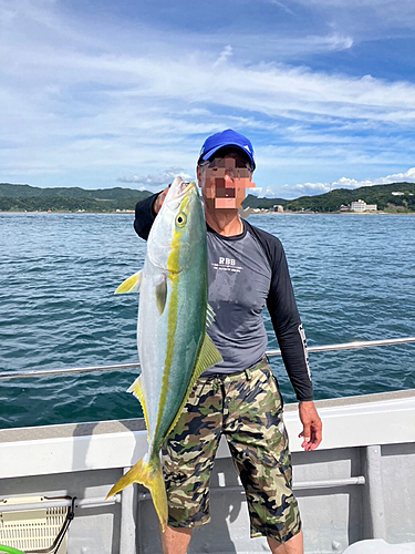 ハマチの釣果