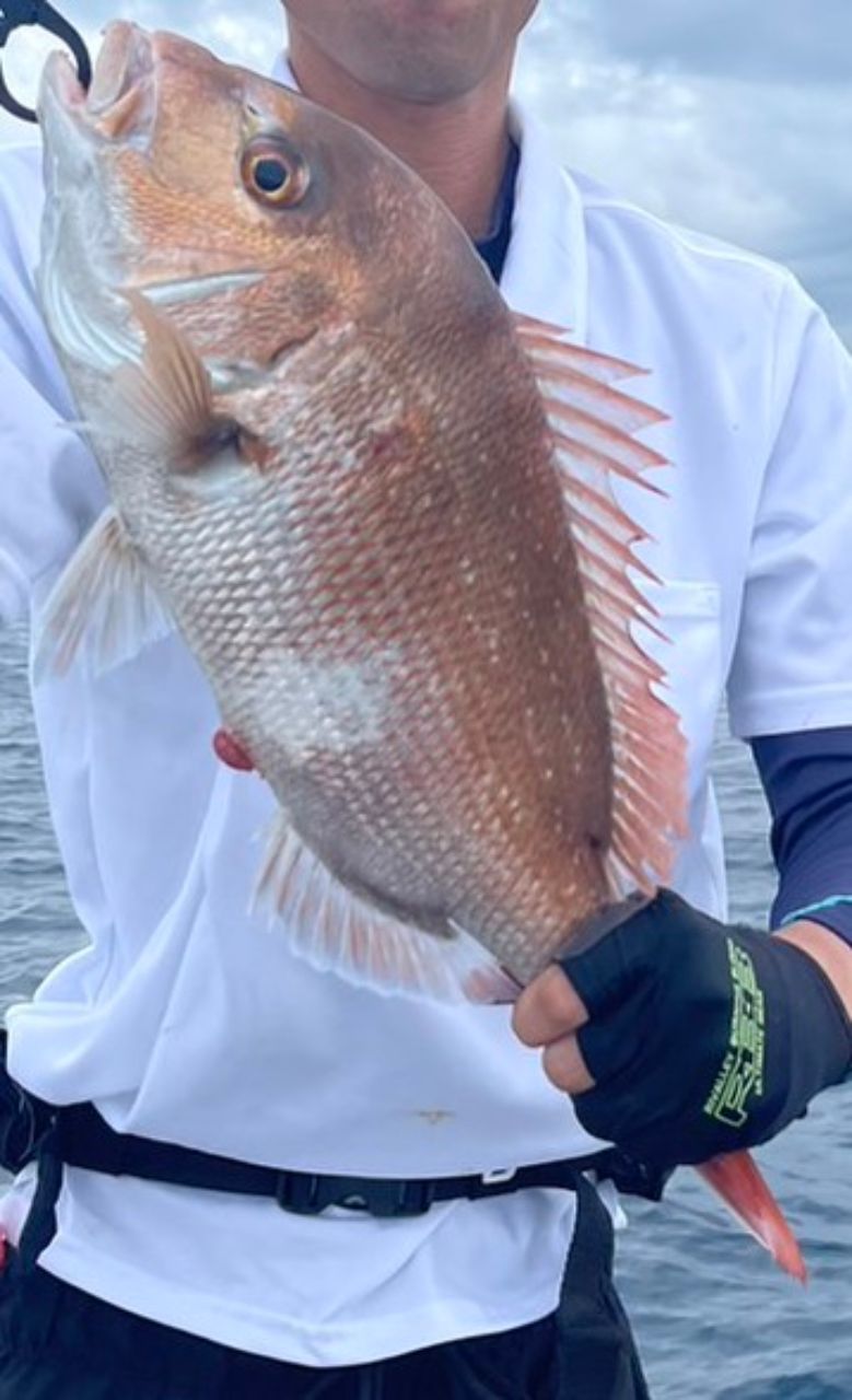 週末アングラーダイさんの釣果 1枚目の画像