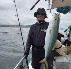 ハマチの釣果