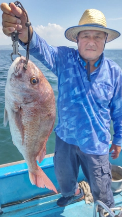 タイの釣果