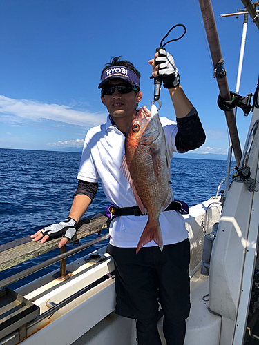 マダイの釣果