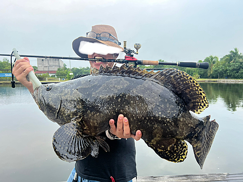 タマカイの釣果