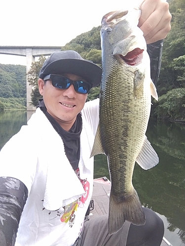 ブラックバスの釣果