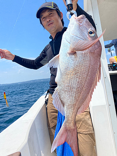 マダイの釣果