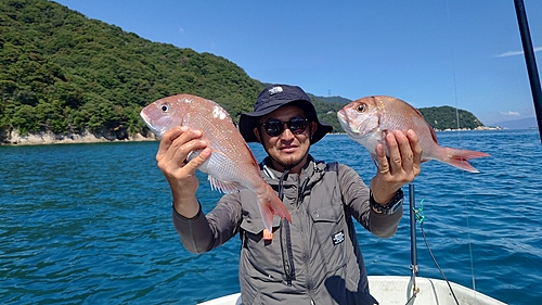 マダイの釣果