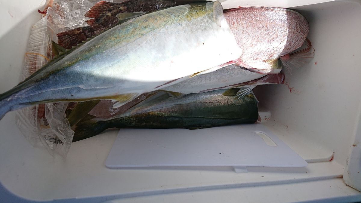 釣りバカじいさんさんの釣果 3枚目の画像