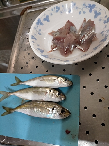 釣果