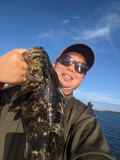 タケノコメバルの釣果