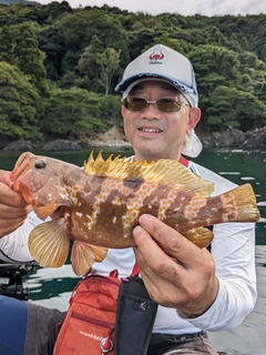 キジハタの釣果